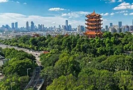 亚洲一区二区三区四区在线-探索亚洲文化与地域特色的多元魅力